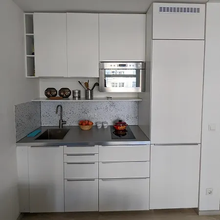 Apartment Entire Renovated Near Marienplatz